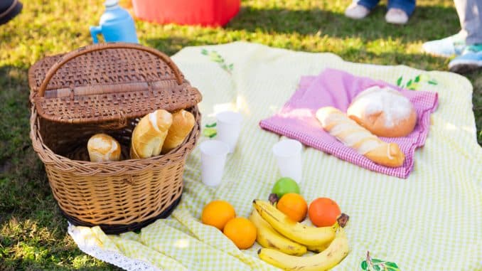 NETZ 12082024 Restplätze Stadtführung Picknick im Park 24.8. (Freepik)