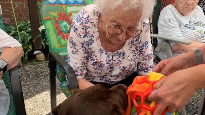 NETZ 22082024 Altenzentrum Heilig Geist Therapiehund Kaja (02)