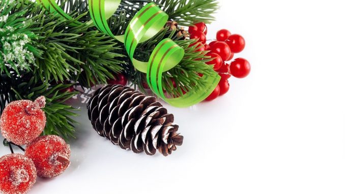 NETZ 21112024 Winterfest Schiller-Oberschule 28.11. ((c) Pixabay_Larisa Koshkina)
