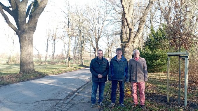 NETZ 18122024 Veranstaltungen Ahrberger Dorfleben (Baumpflanzung)