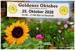 Goldener Oktober Sarstedt